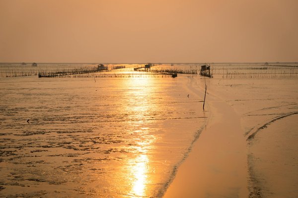 Comment la digitalisation influence-t-elle l'expérience des voyageurs ?