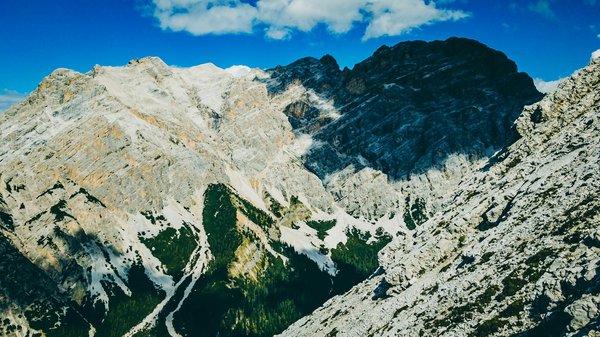 Voyage au Coeur des Vignobles : Une Immersion Inoubliable pour les Passionnés de Vin